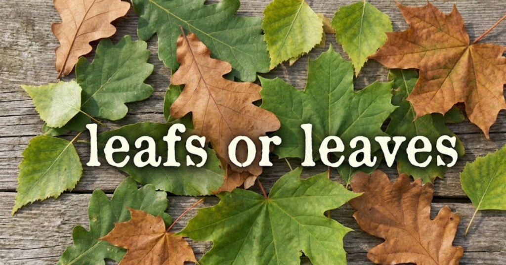 Leafs or Leaves: Which One Is Correct?