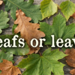 Leafs or Leaves: Which One Is Correct?