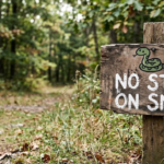 No Step on Snek: Meaning, Origin, and Internet Meme Explained