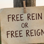 Free Rein or Free Reign: What’s the Right Phrase?