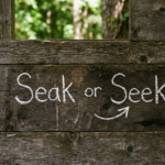 Seak or Seek: Which One Is Correct?